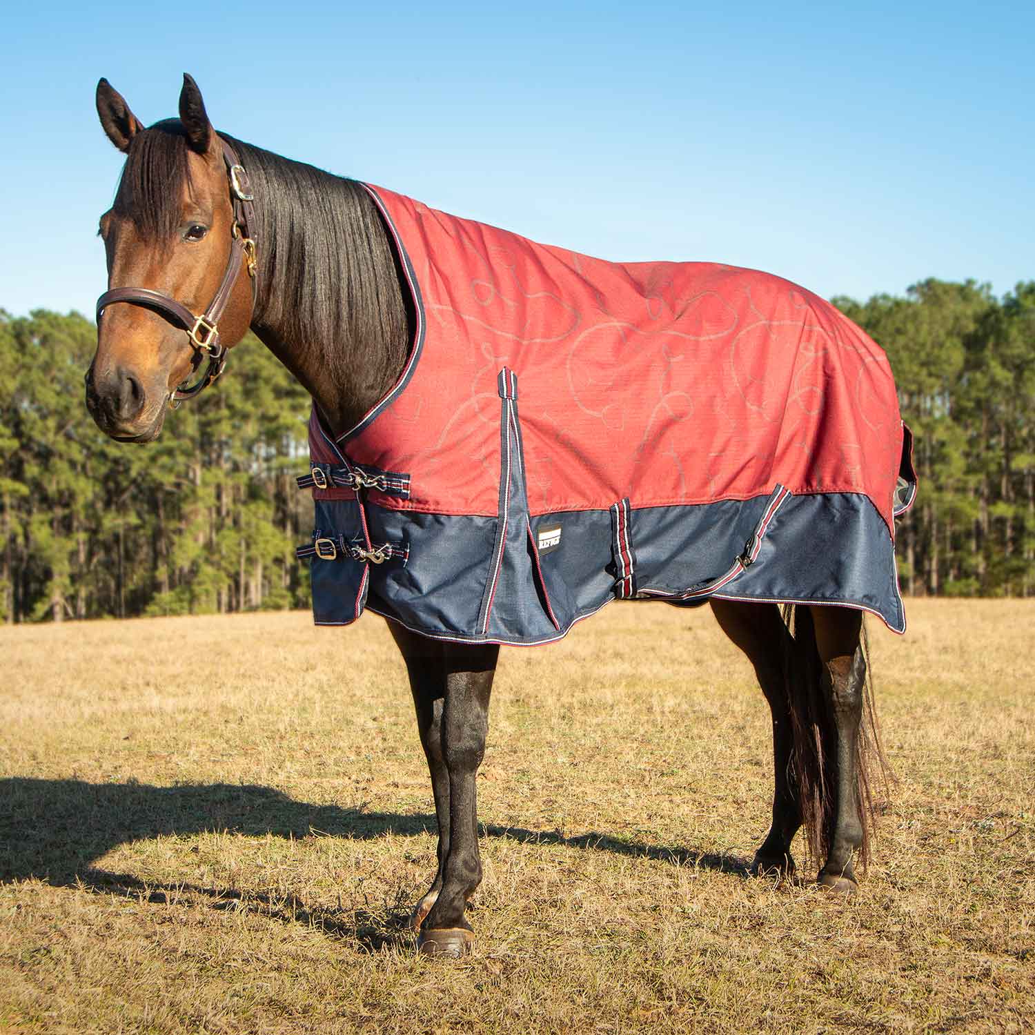Poplar Head Uniquely English 1200 Denier Turnout Blanket with High Neck, 240 Gram, Merlot Snaffles & Irons - Buy Pet Shop