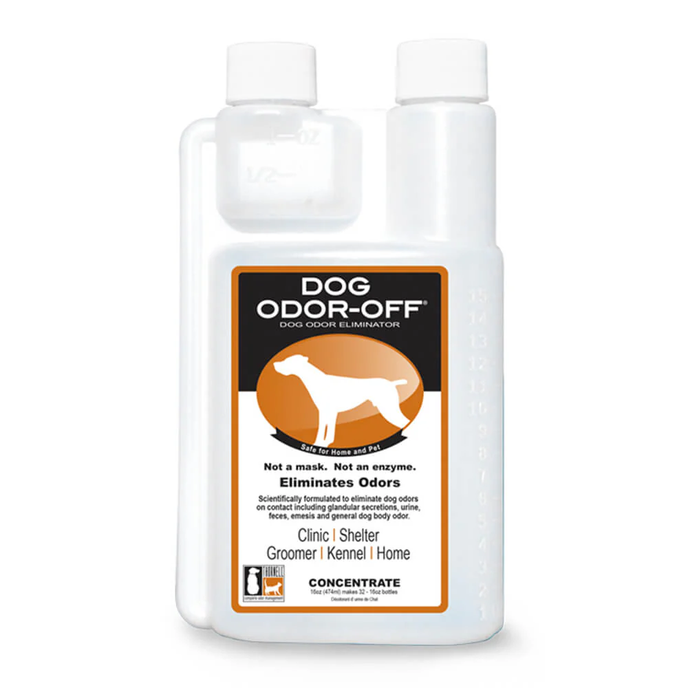 Dog Odor-Off Carpet Concentrate, 16 oz - Buy Pet Shop