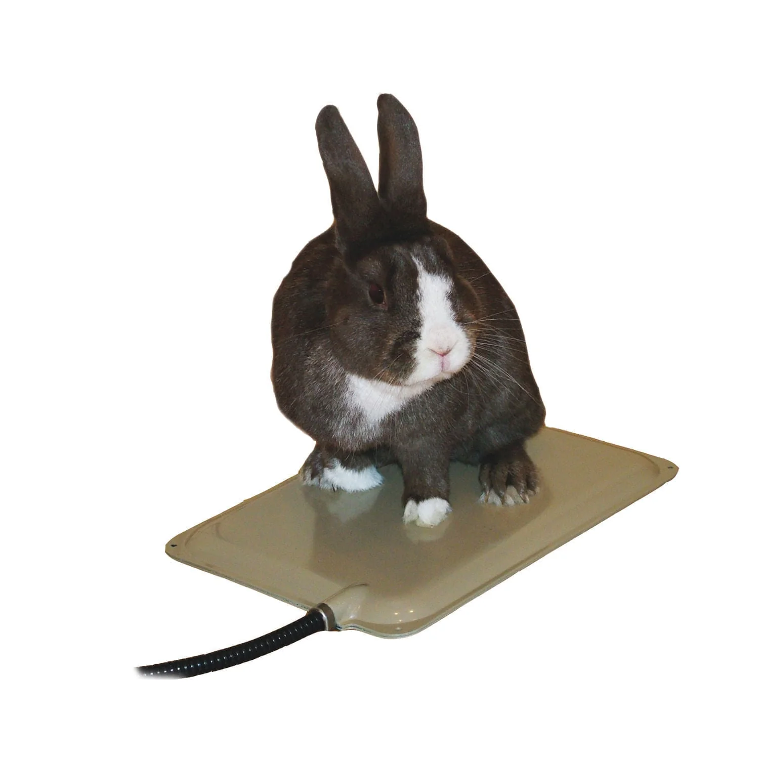K&H Small Animal Heated Pad (& Accessories) - Buy Pet Shop