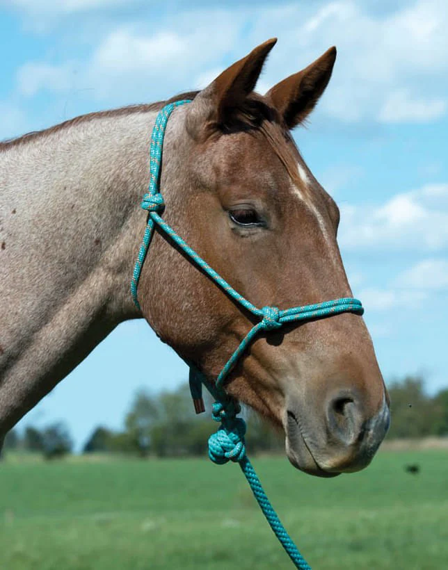 Weaver Leather Diamond Braid Rope Halter with Lead - Buy Pet Shop