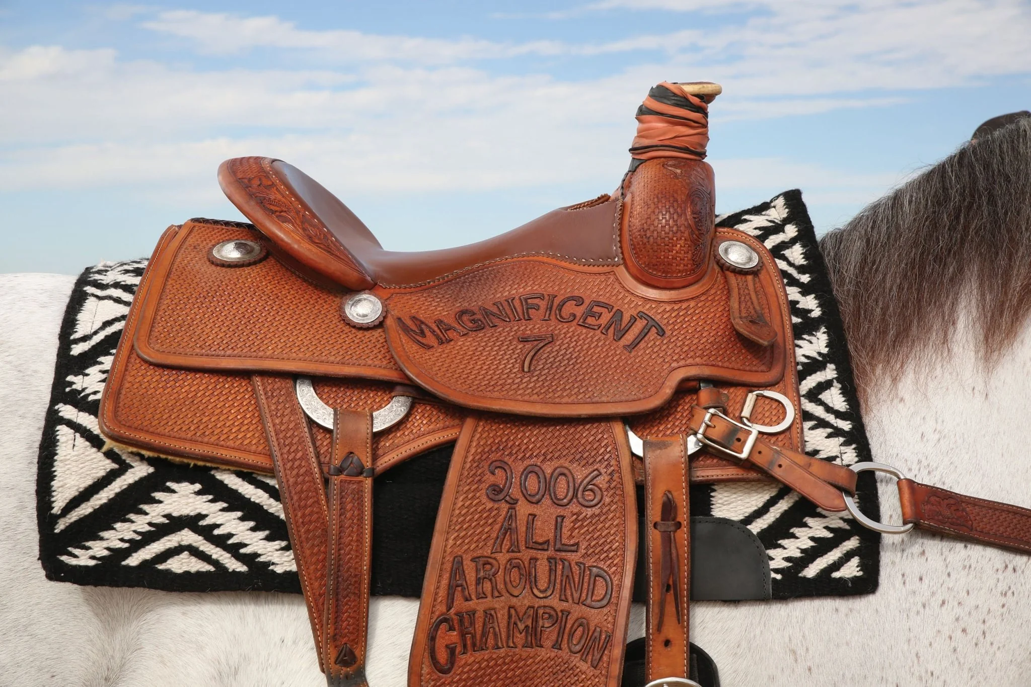 Comfort-fit SMx H.D. Air Ride: El Dorado Saddle Pad - Buy Pet Shop