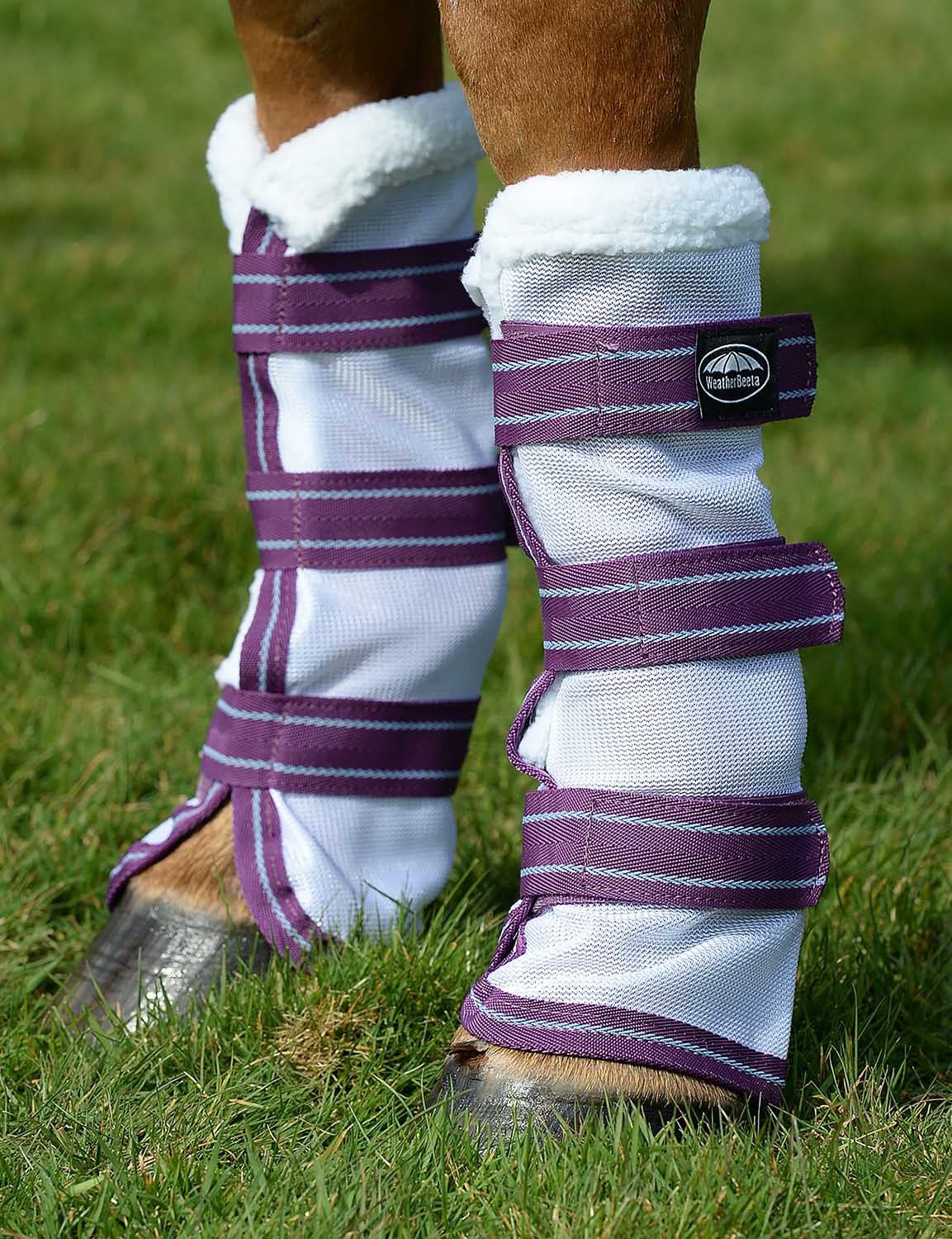 WeatherBeeta ComFITec Airflow Mesh Leg Wraps, White/ Violet/ Blue - Buy Pet Shop