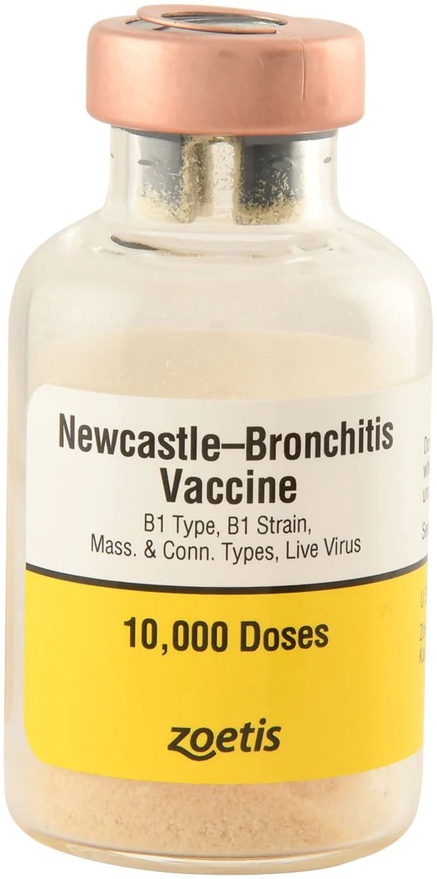 Newcastle-Bronchitis for Chickens - Buy Pet Shop