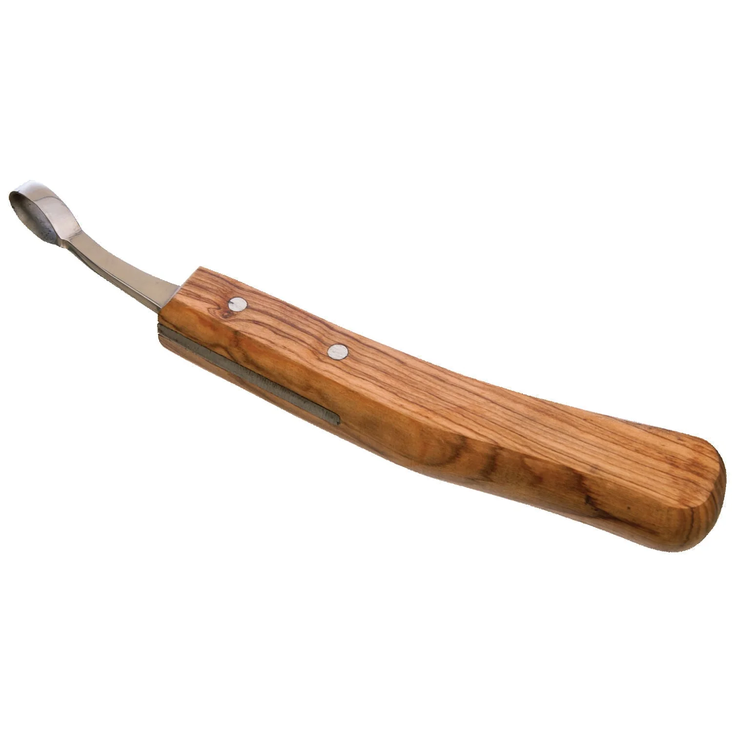 Abscess Hoof Knife for Horses - Buy Pet Shop