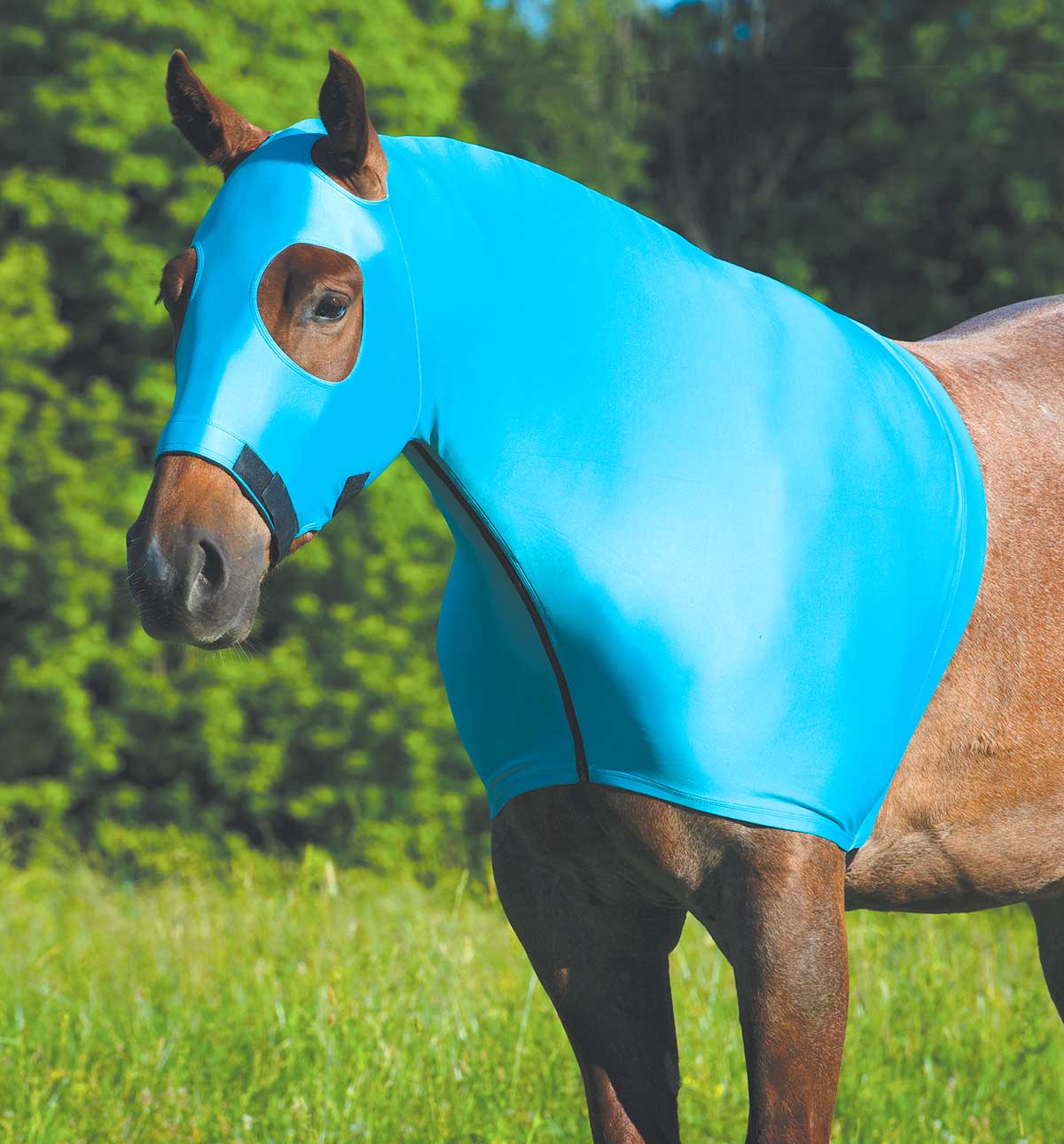 Coolcore Cooling Lycra Hood - Buy Pet Shop