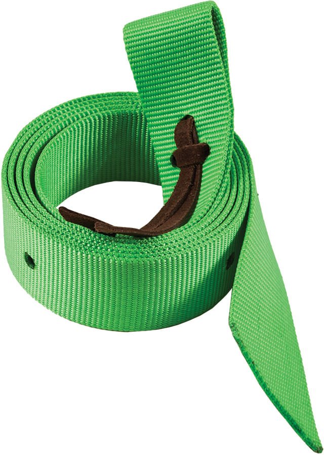 Mustang Neonz 6 Foot Nylon Tie Strap w/ Leather Tie - Buy Pet Shop