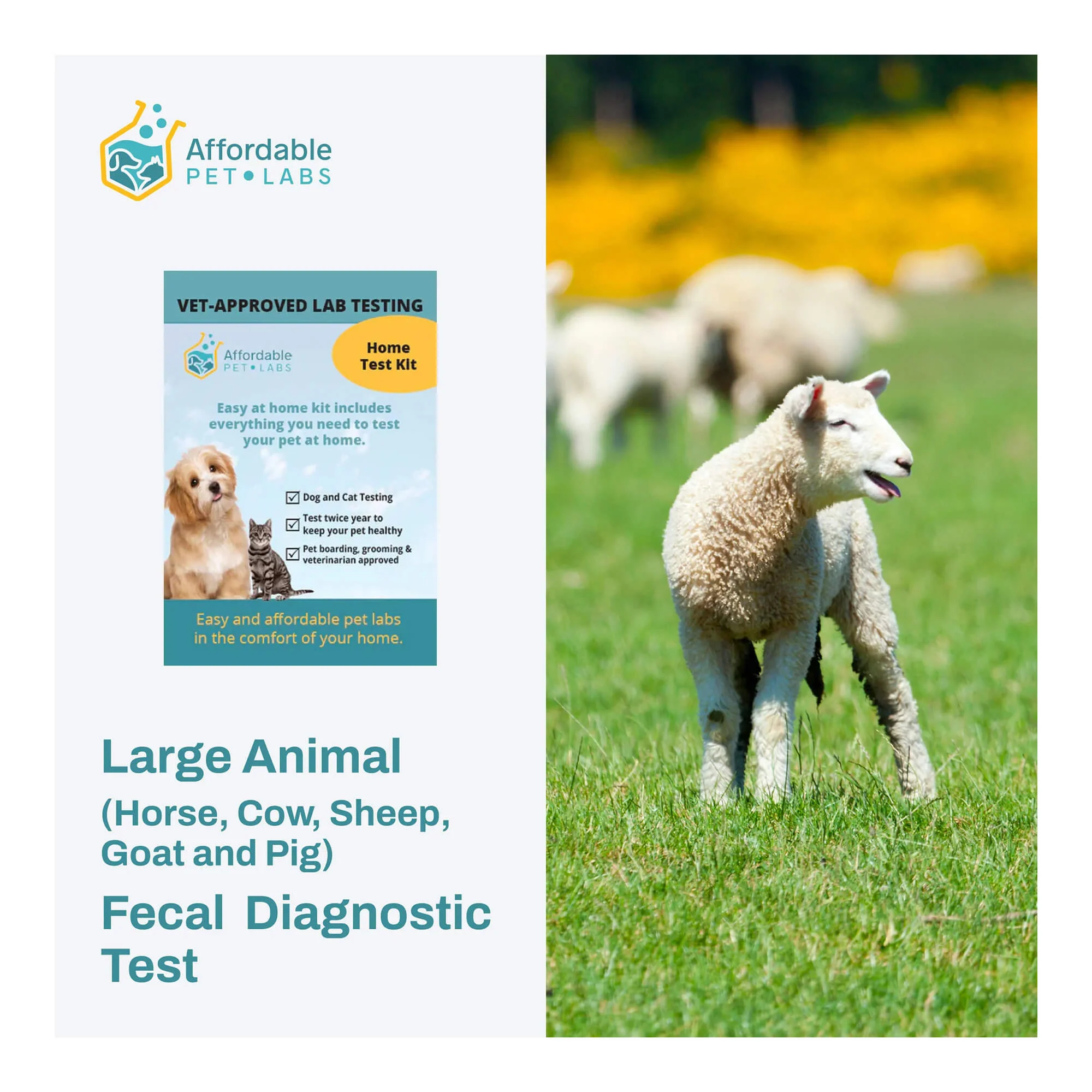 Affordable Pet Labs Large Animal (Horse, Cow, Sheep, Goat and Pig) Fecal Diagnostic Test, Easy Home Kit - Buy Pet Shop