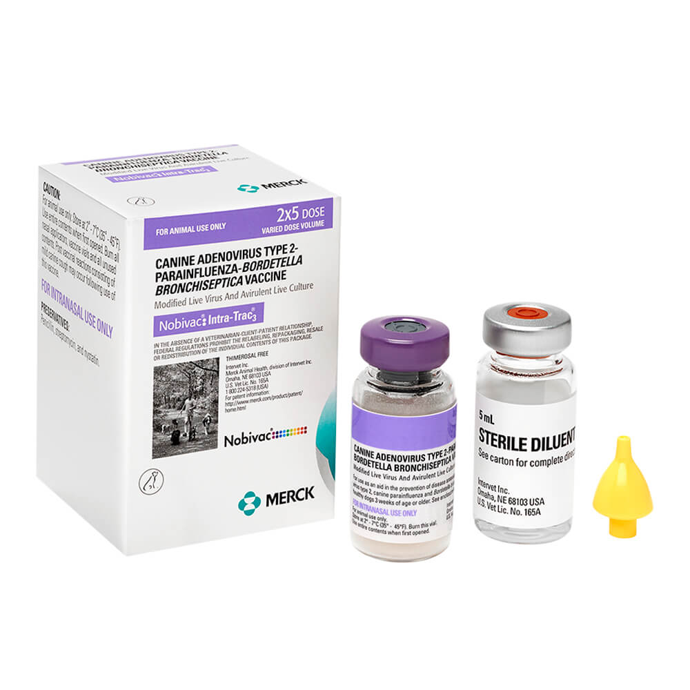 Nobivac Intra-Trac 3 Intranasal Vaccine - Buy Pet Shop