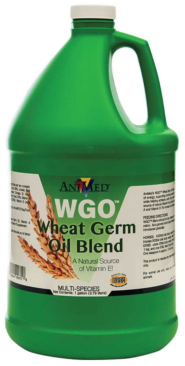 WGO Wheat Germ Oil Blend, Gallon - Buy Pet Shop