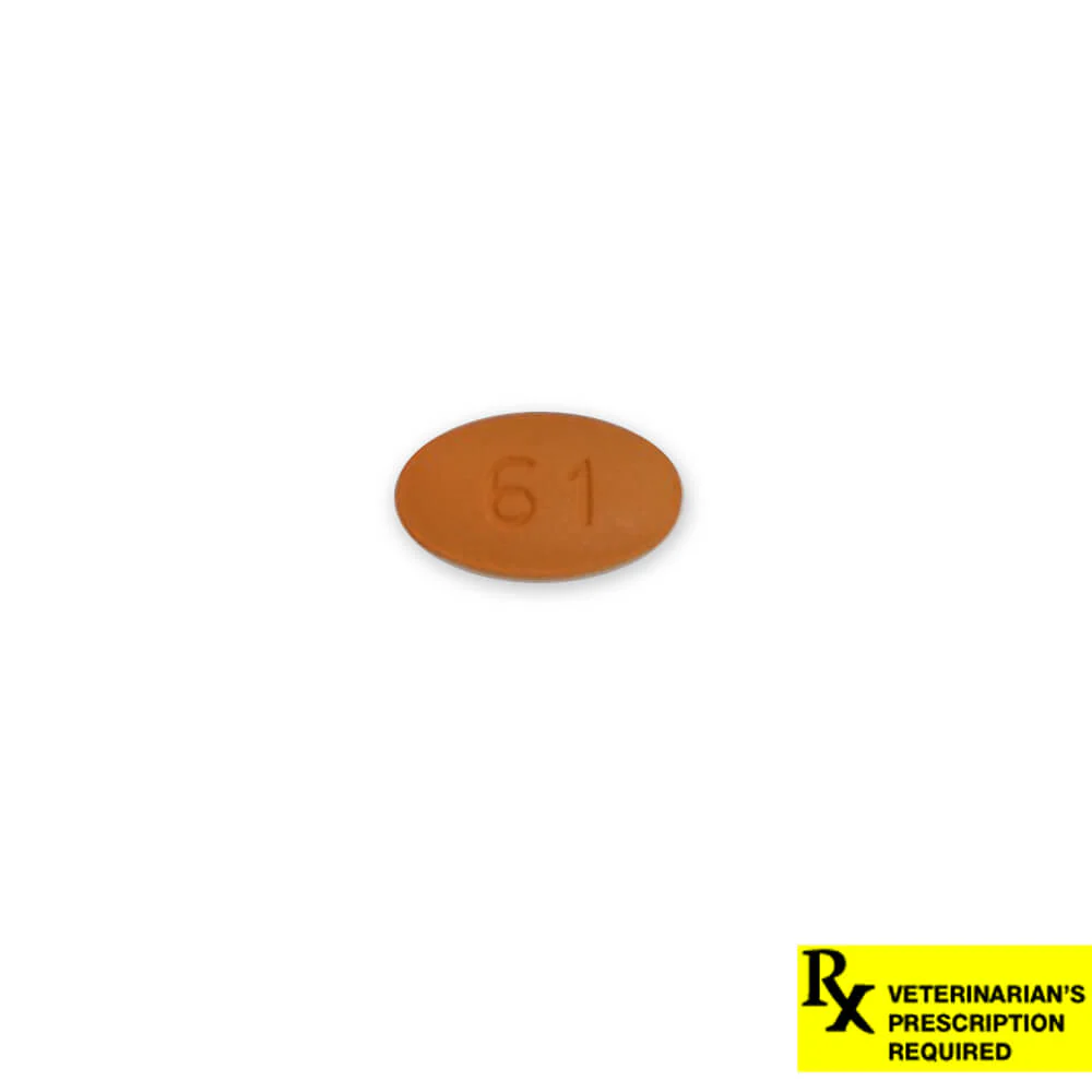 Rx Cefpodoxime Proxetil (Generic) Tablets for Dogs - Buy Pet Shop