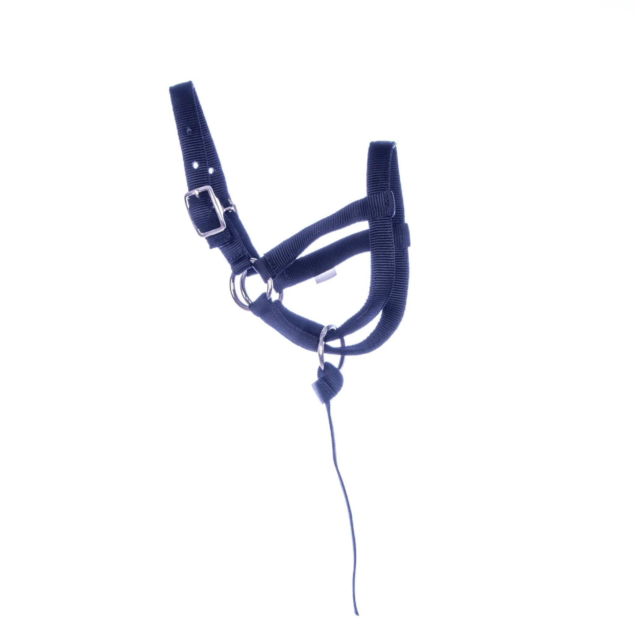 Nylon Llama Halter with Catch Strap - Buy Pet Shop