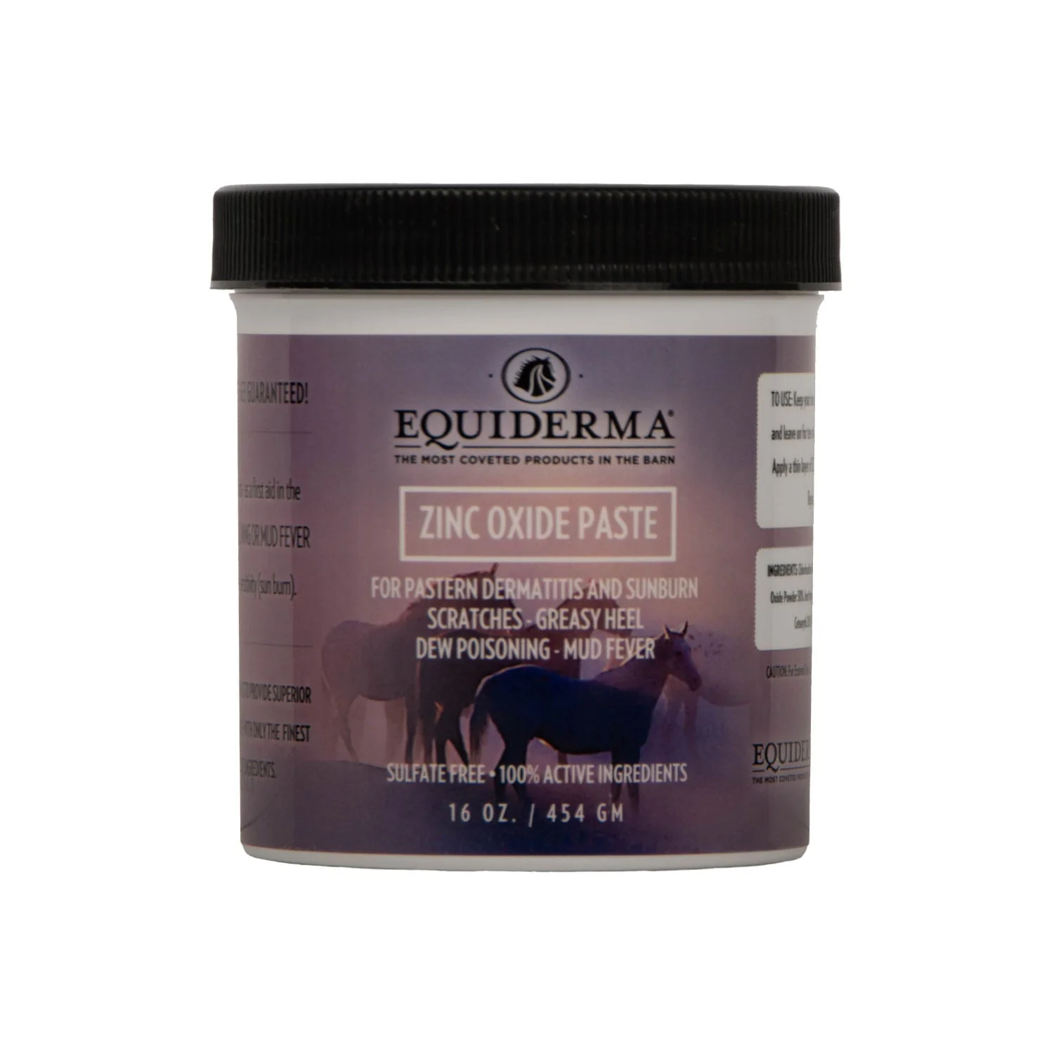 Equiderma Zinc Oxide Paste, 16 oz - Buy Pet Shop