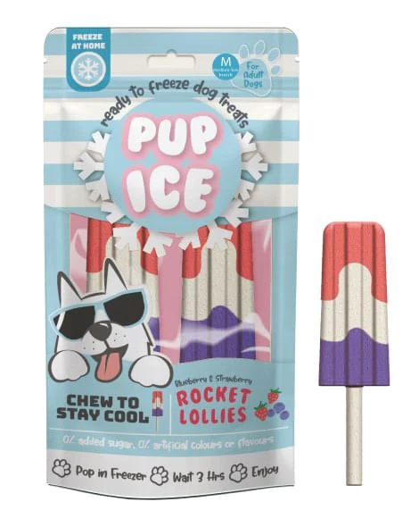 Pup Ice Rocket Lollies, 2pk - Buy Pet Shop