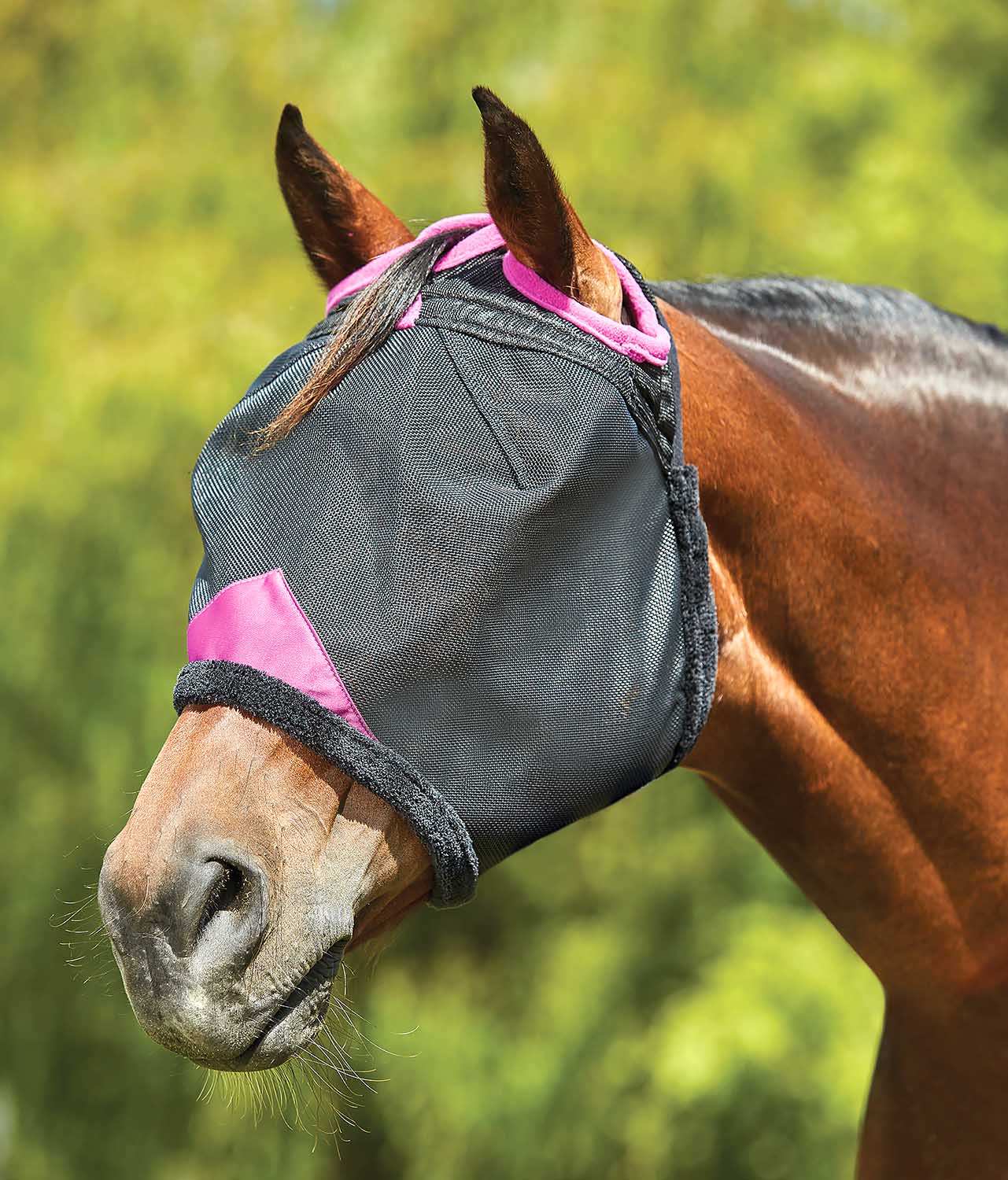 Weatherbeeta ComFITec Deluxe Durable Mesh Horse Fly Mask - Buy Pet Shop