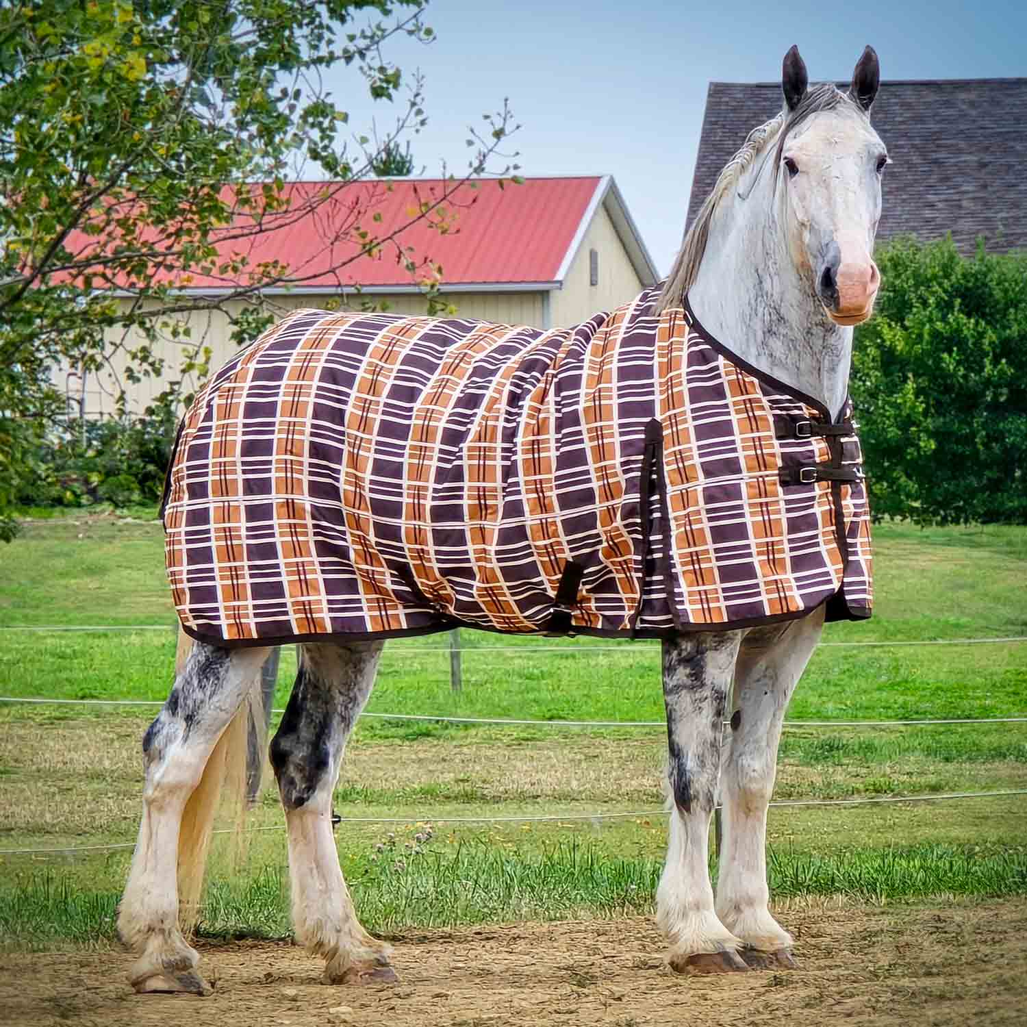 Solaris 1200 Denier Draft Horse Turnout Sheet, 0g Fill, Brown & Cream Plaid - Buy Pet Shop