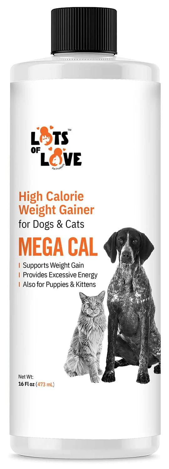 Lots of Love Mega Cal, 16 oz - Buy Pet Shop