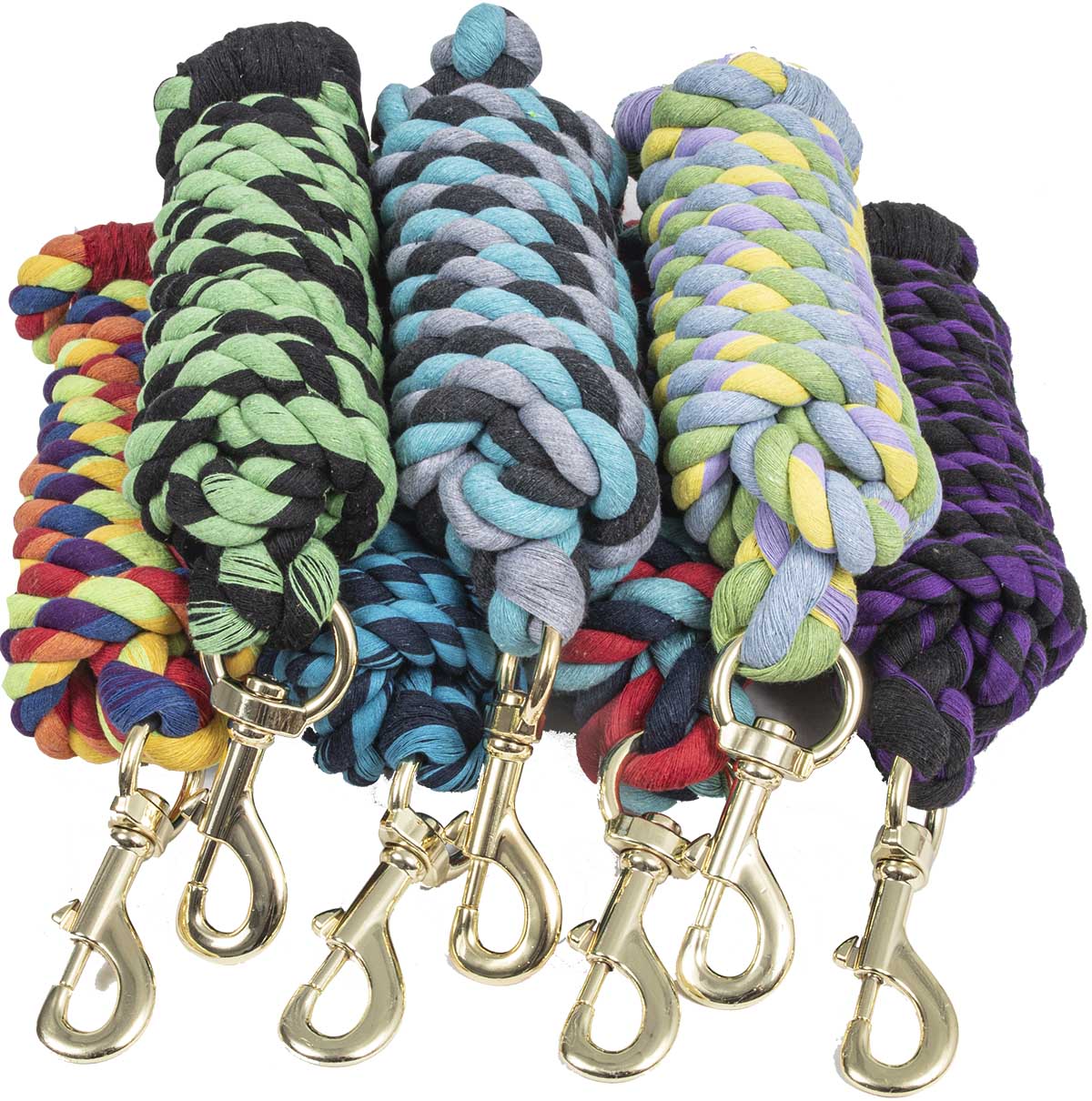 10' Twisted Cotton Lead Rope, Assorted - Buy Pet Shop