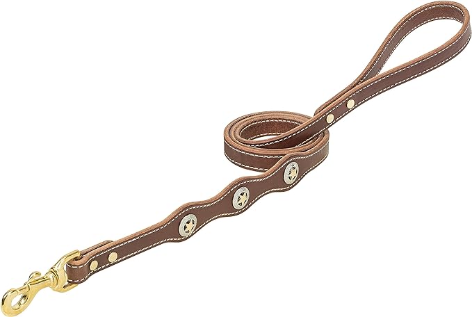 Weaver Lonestar Dog Leash, Rich Brown, 3/4