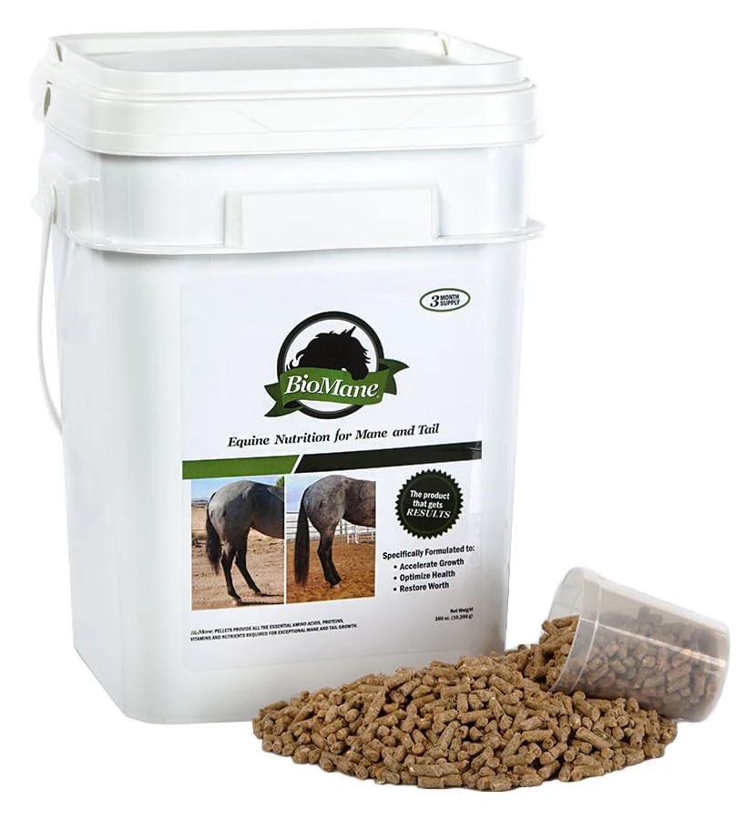 BioMane Equine Pellets - Buy Pet Shop