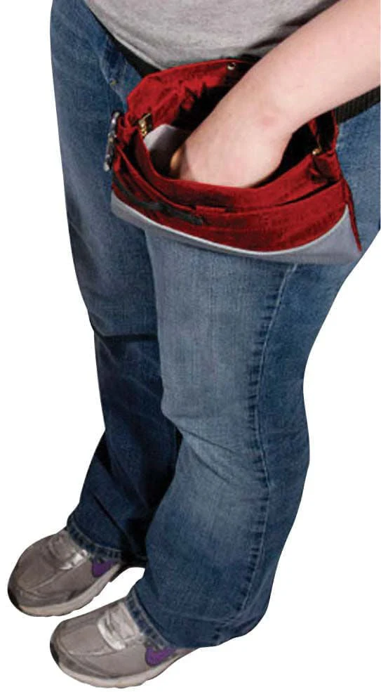 PetSafe Treat Pouch, Sport - Buy Pet Shop