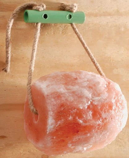 Himalayan Rock Salt Wall Hanger - Buy Pet Shop