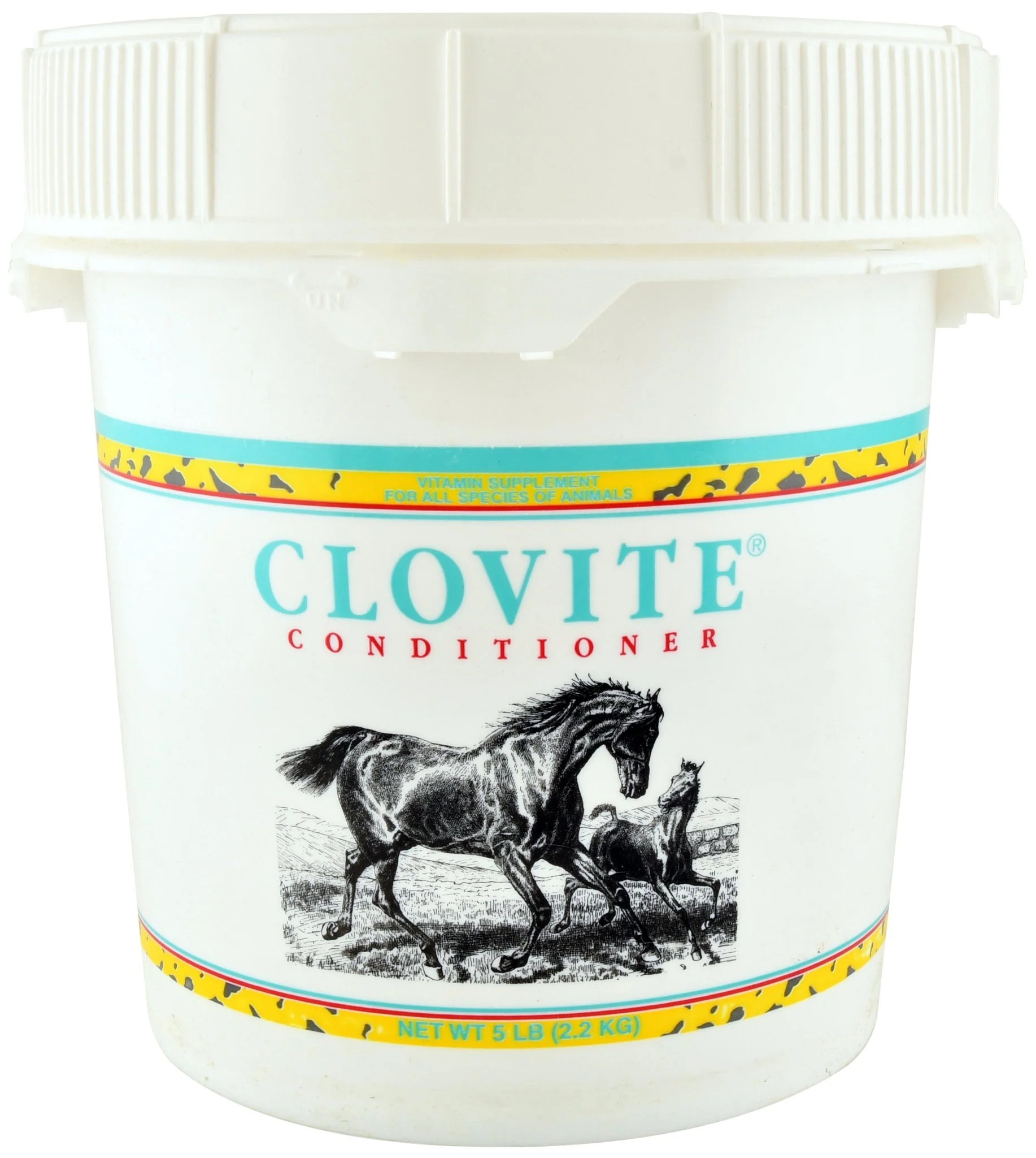 Clovite Conditioner - Buy Pet Shop