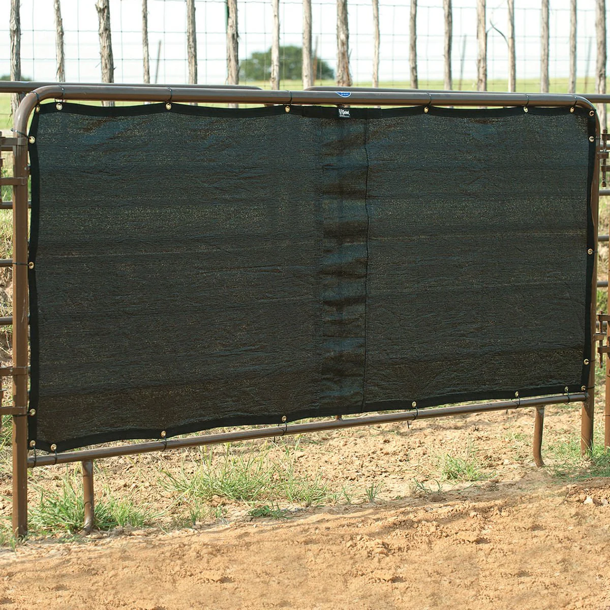 Panel Screen - Buy Pet Shop