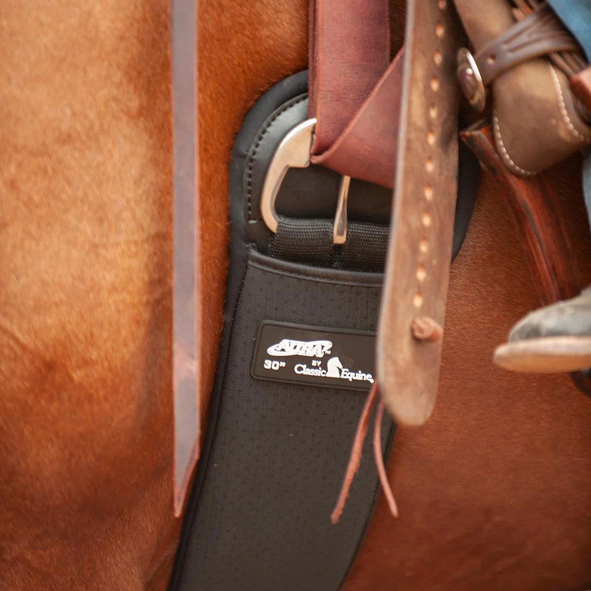 Classic Equine Aura Neoprene Straight Cinch with Stainless Steel Hardware - Buy Pet Shop