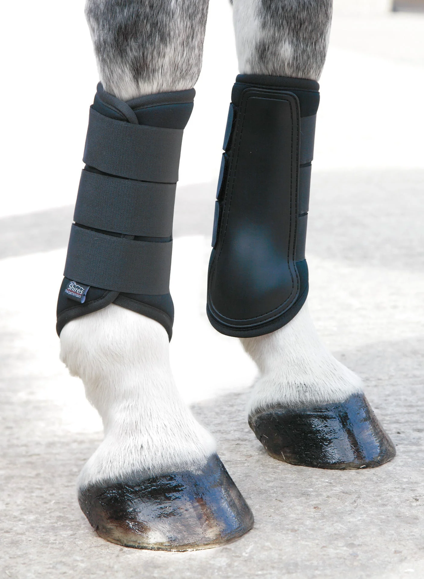 Shires Neoprene Brushing Boots - Buy Pet Shop