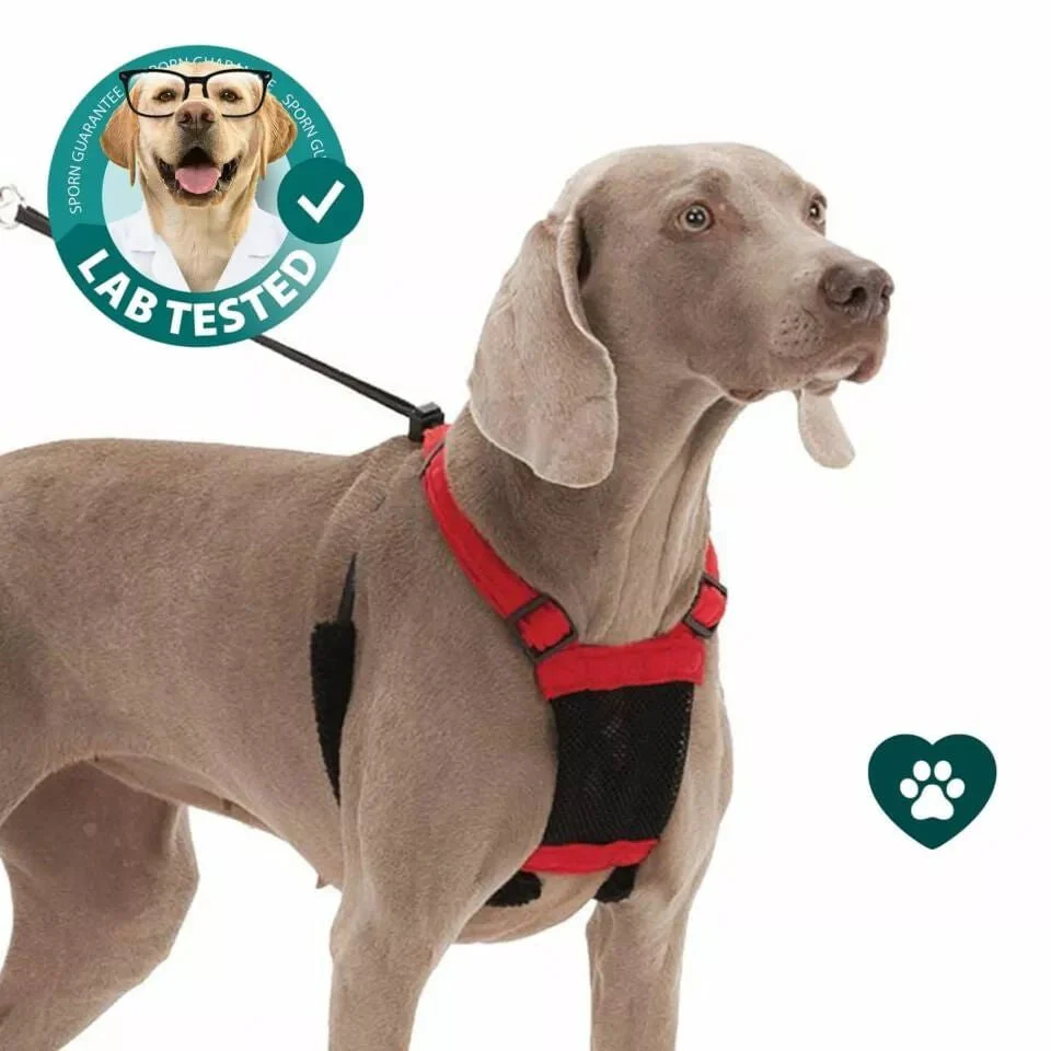 Sporn Non-Pulling Mesh Harness, Large/X-Large - Buy Pet Shop