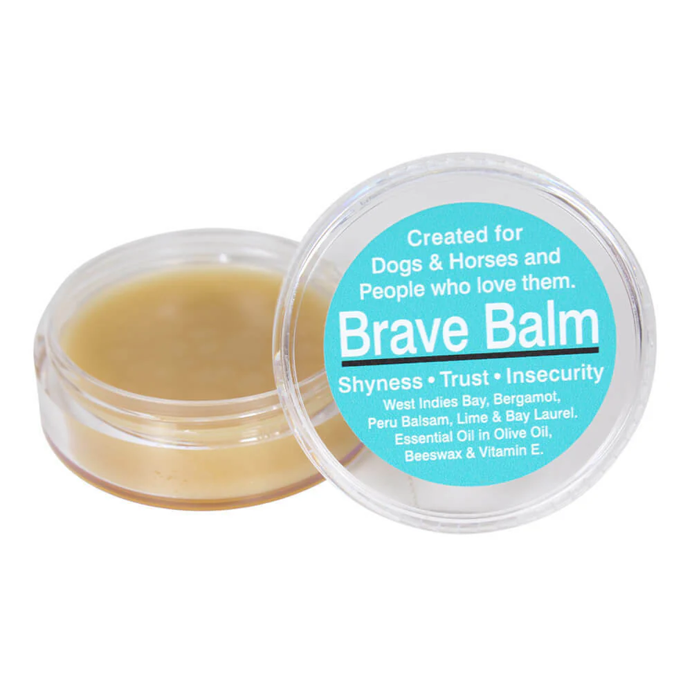 BlackWing Natural Remedies, Brave Balm, 2 oz - Buy Pet Shop