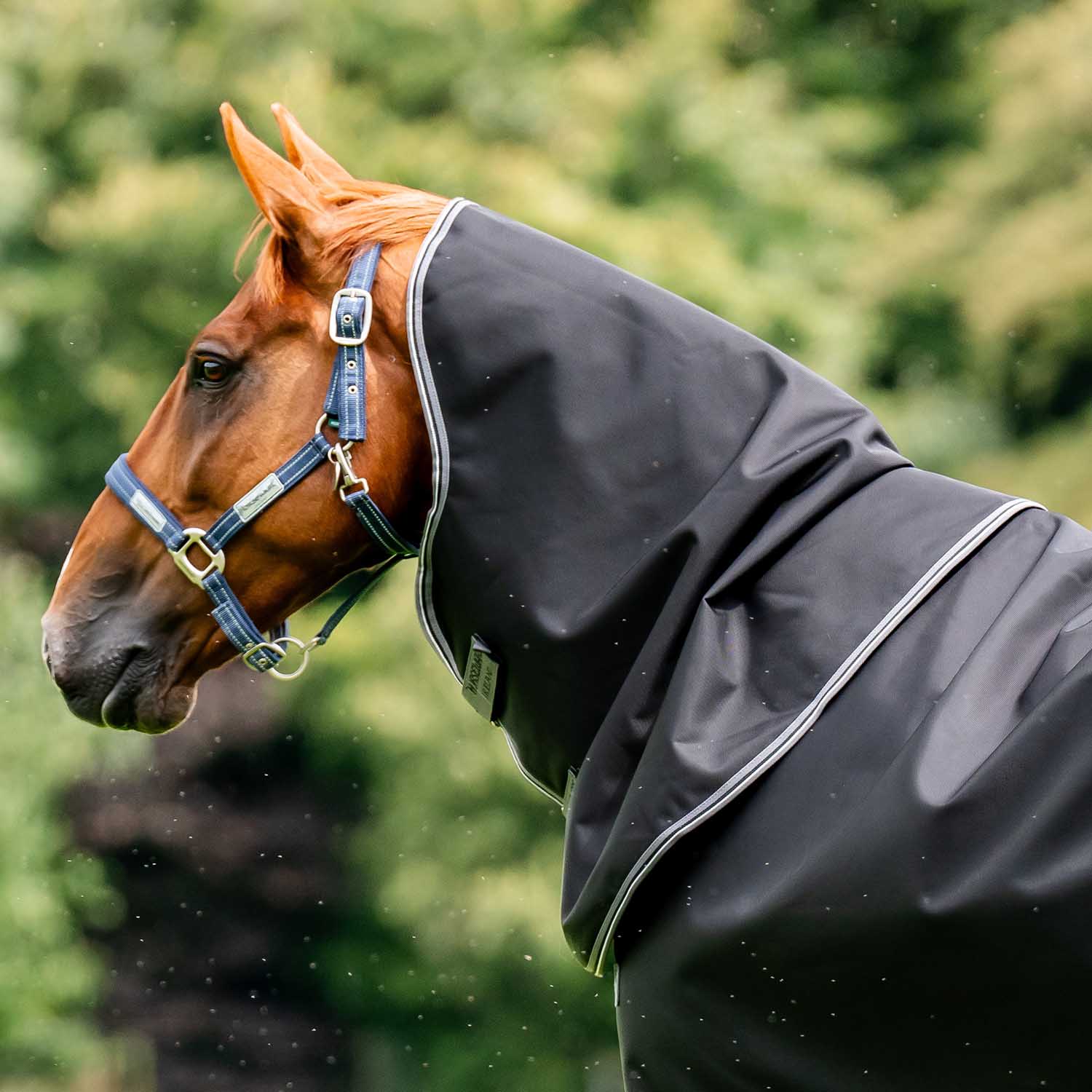 Rambo Supreme Vari-layer Turnout, 450 Gram, Black/Thunderstorm Grey - Buy Pet Shop