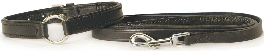 Padded Black Leather Dog Collars - Buy Pet Shop