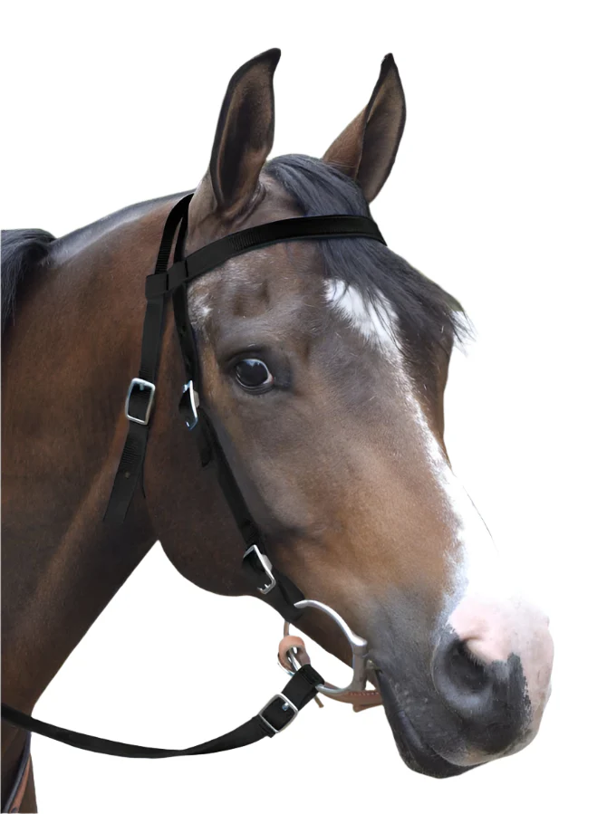 Western Nylon Horse Bridle with 6' Split Reins Set - Buy Pet Shop