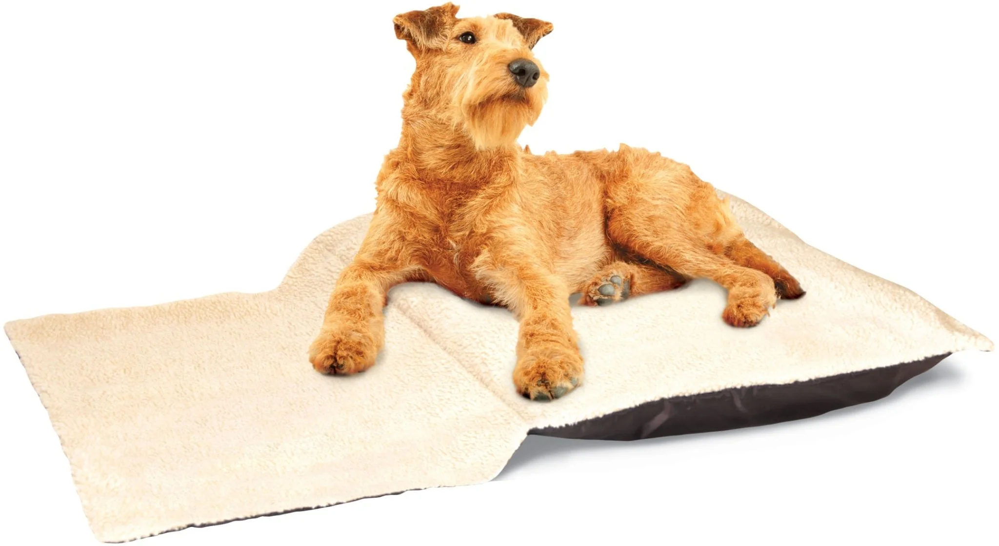 Doze-N-Dream Pet Bed - Buy Pet Shop