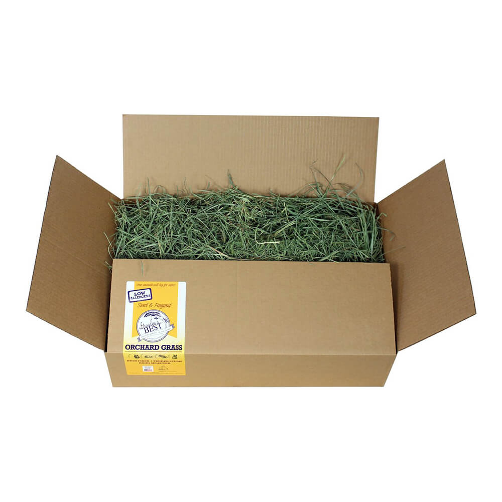 Grandpa's Best Orchard Grass Loose Boxed Hay - Buy Pet Shop