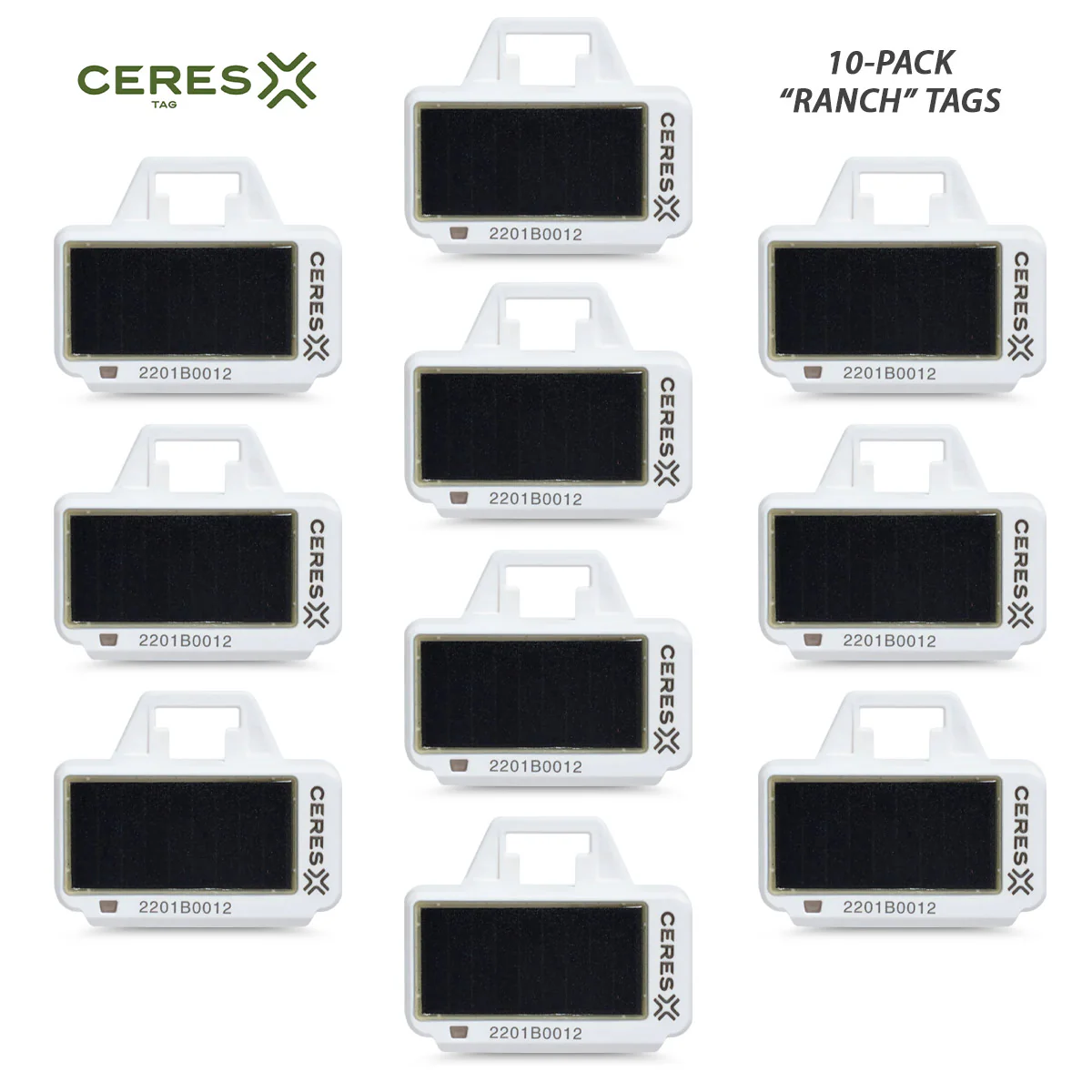 CERES RANCH PFI Identification Tags - Buy Pet Shop