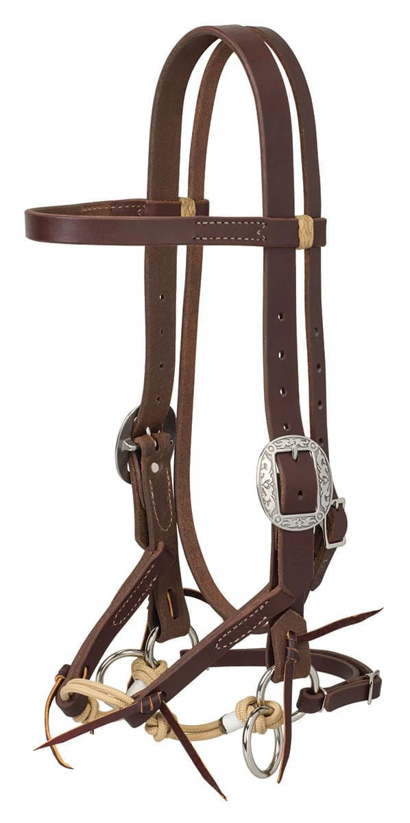 Justin Dunn Bitless Bridle, Oiled Harness - Buy Pet Shop