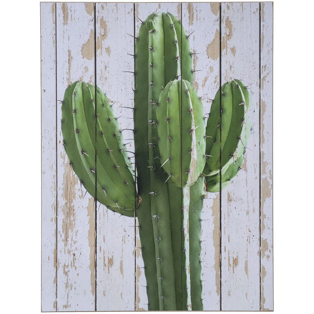 Hanging Cactus Wall Art - Buy Pet Shop