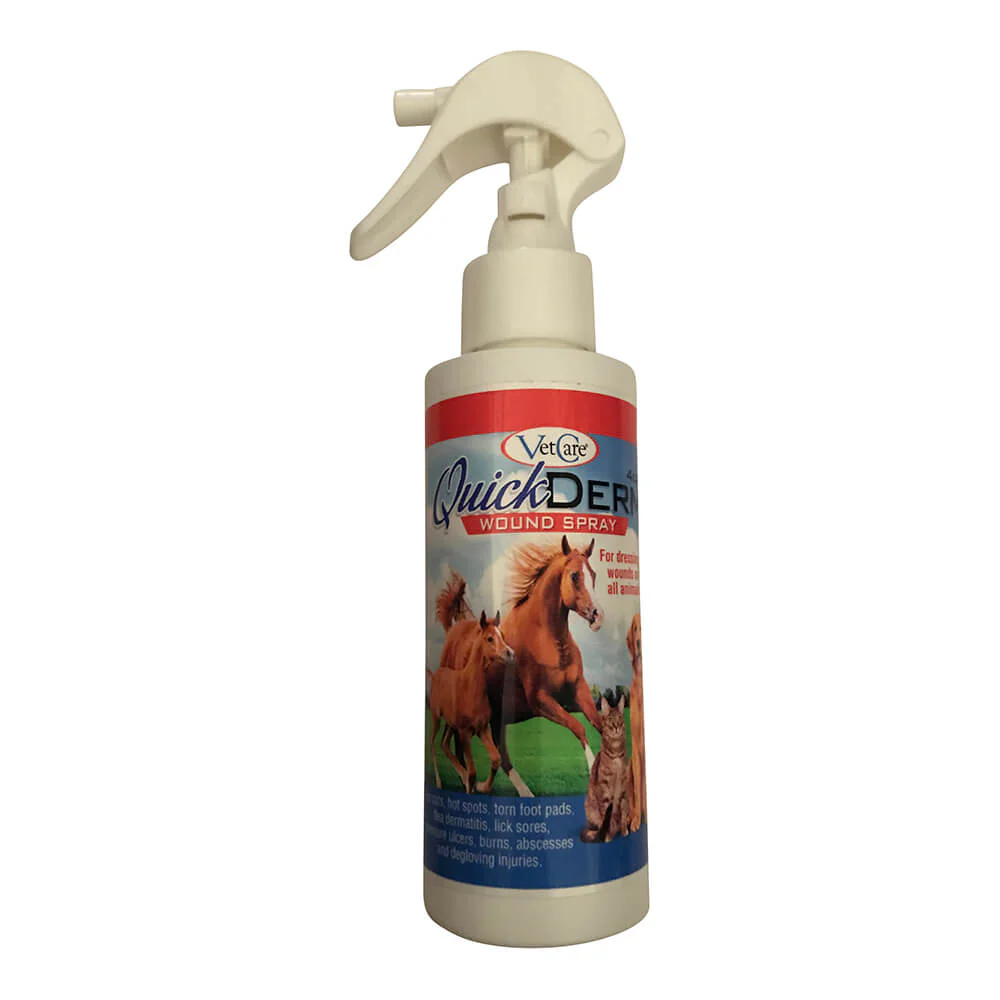 QuickDerm Wound Spray, 4 oz - Buy Pet Shop