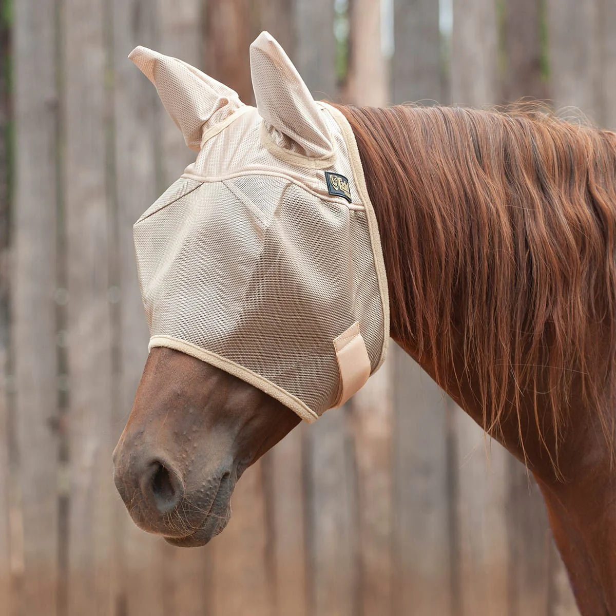 Cashel Economy Fly Mask with Ears, Gold - Buy Pet Shop