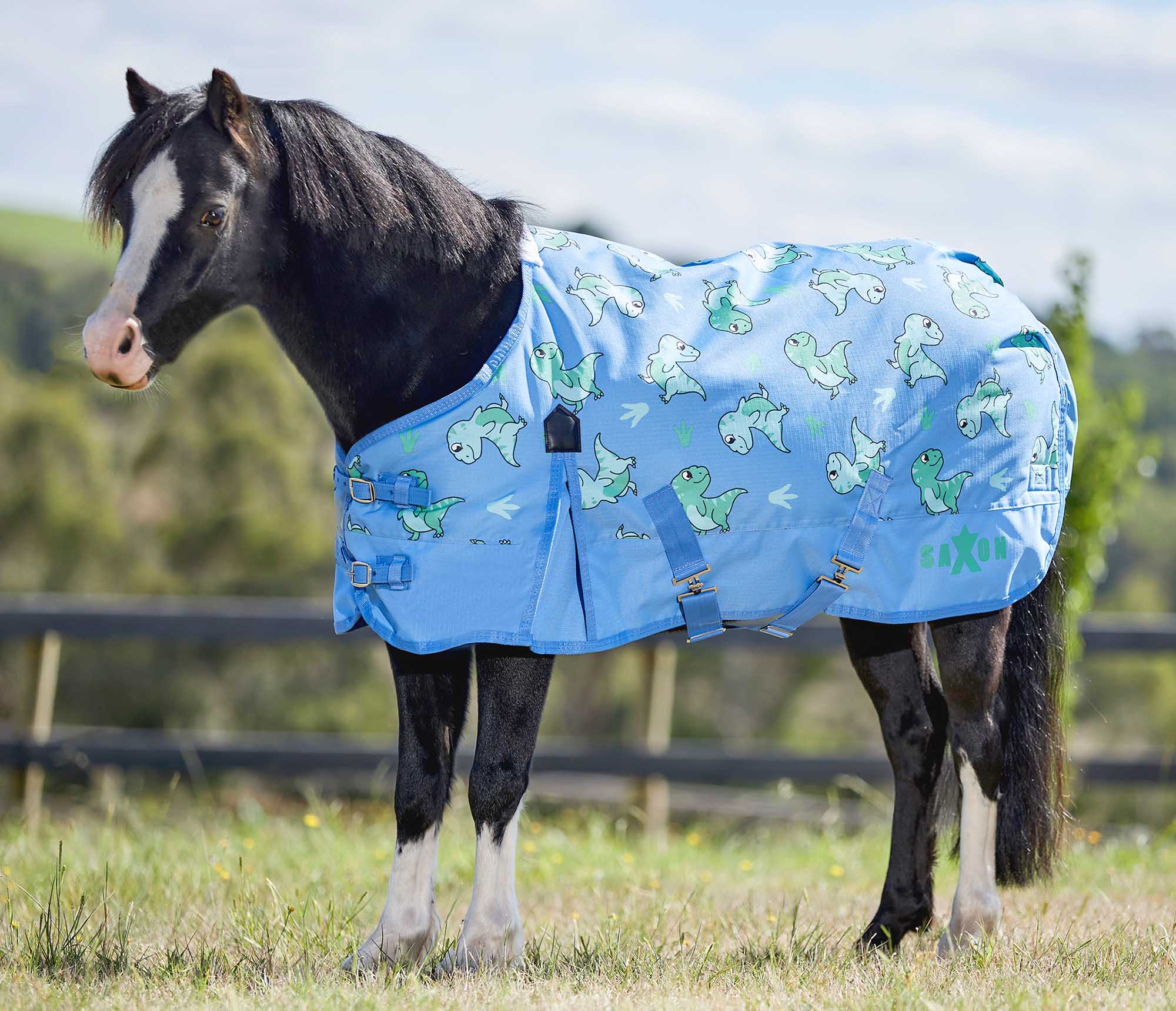 Saxon Pony 600 Denier Standard Neck Turnout Sheet - Buy Pet Shop