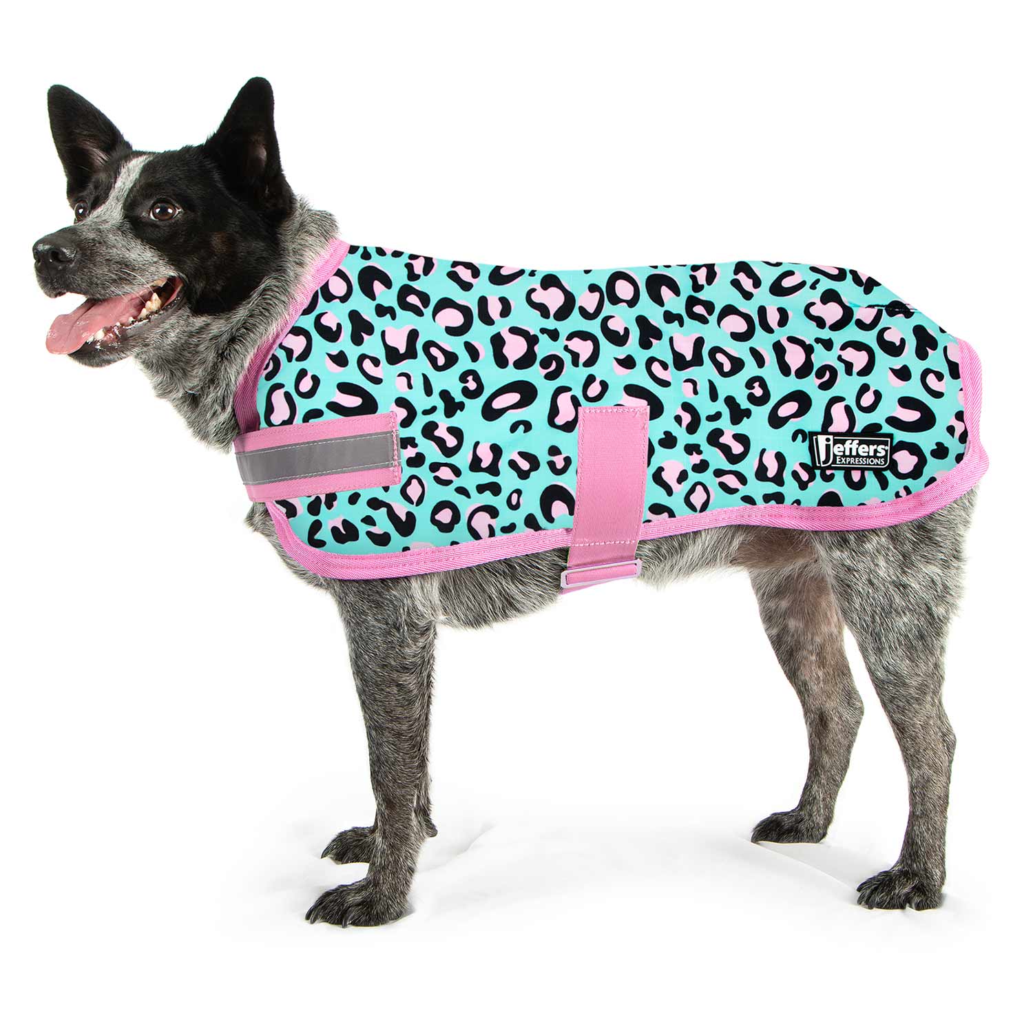 Expression Waterproof Ripstop Dog Coat, Party Cheetah - Buy Pet Shop