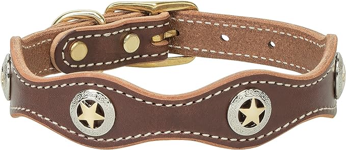 Weaver Lonestar Dog Collar - Buy Pet Shop