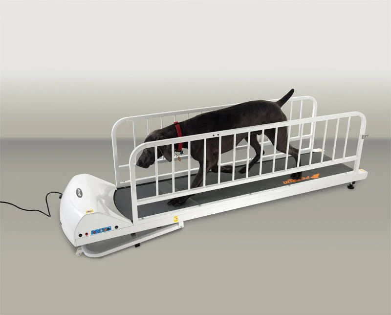PetRun Large Breed Treadmill (PR725) - Buy Pet Shop