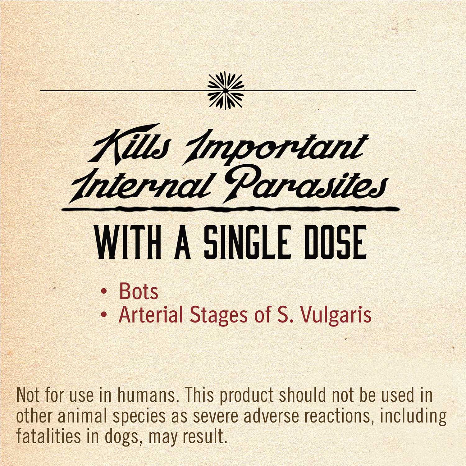 Zimecterin Horse Dewormer Paste, 1-dose - Buy Pet Shop