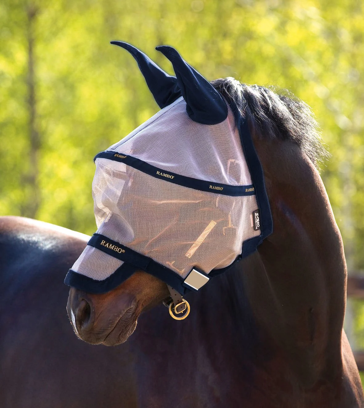 Rambo Plus Fly Mask, Oatmeal/Navy - Buy Pet Shop