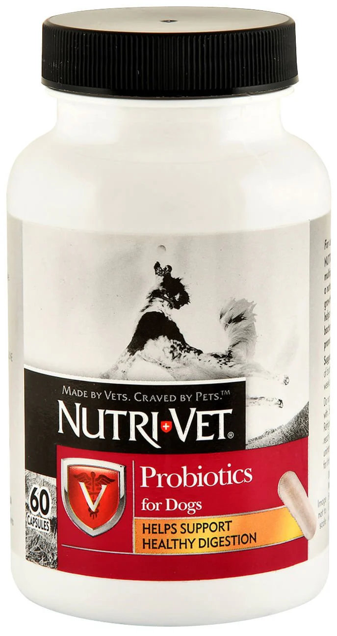 Nutri-Vet Probiotics for Dogs - Buy Pet Shop
