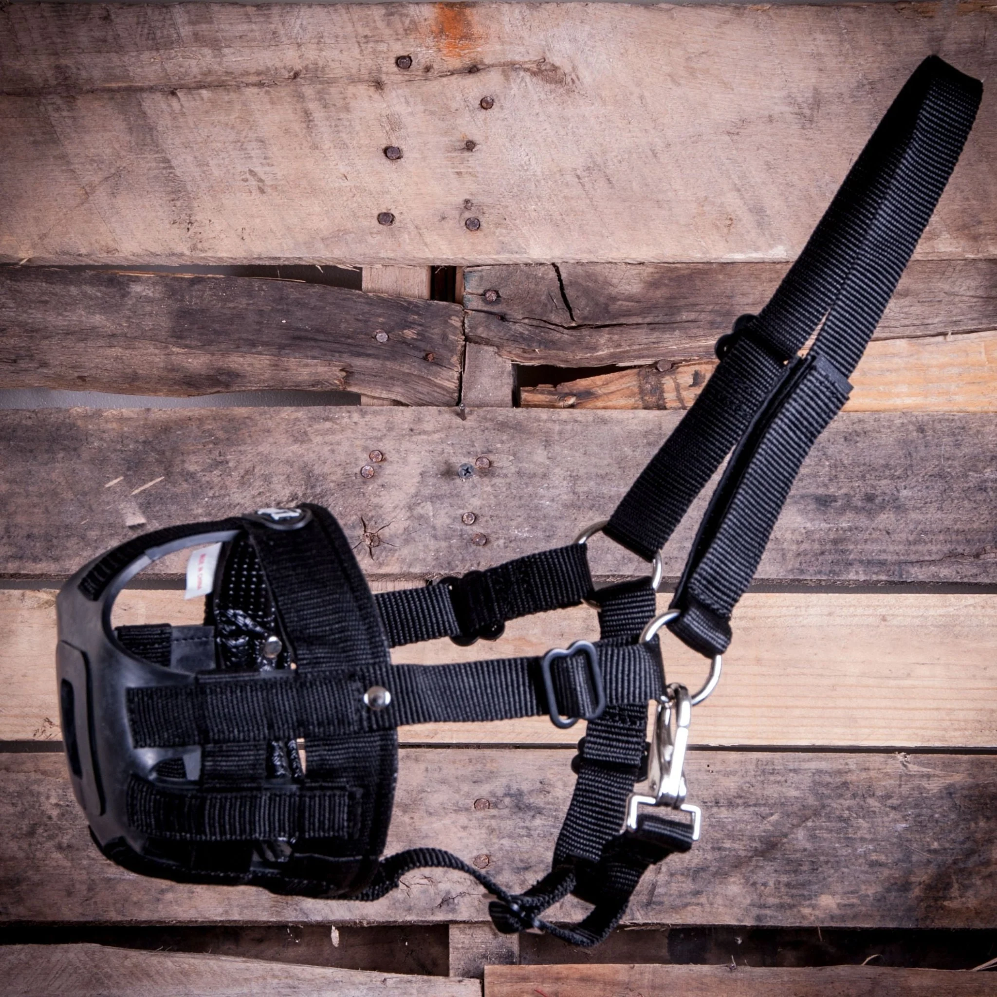 Easy Breathe Grazing Muzzle - Buy Pet Shop