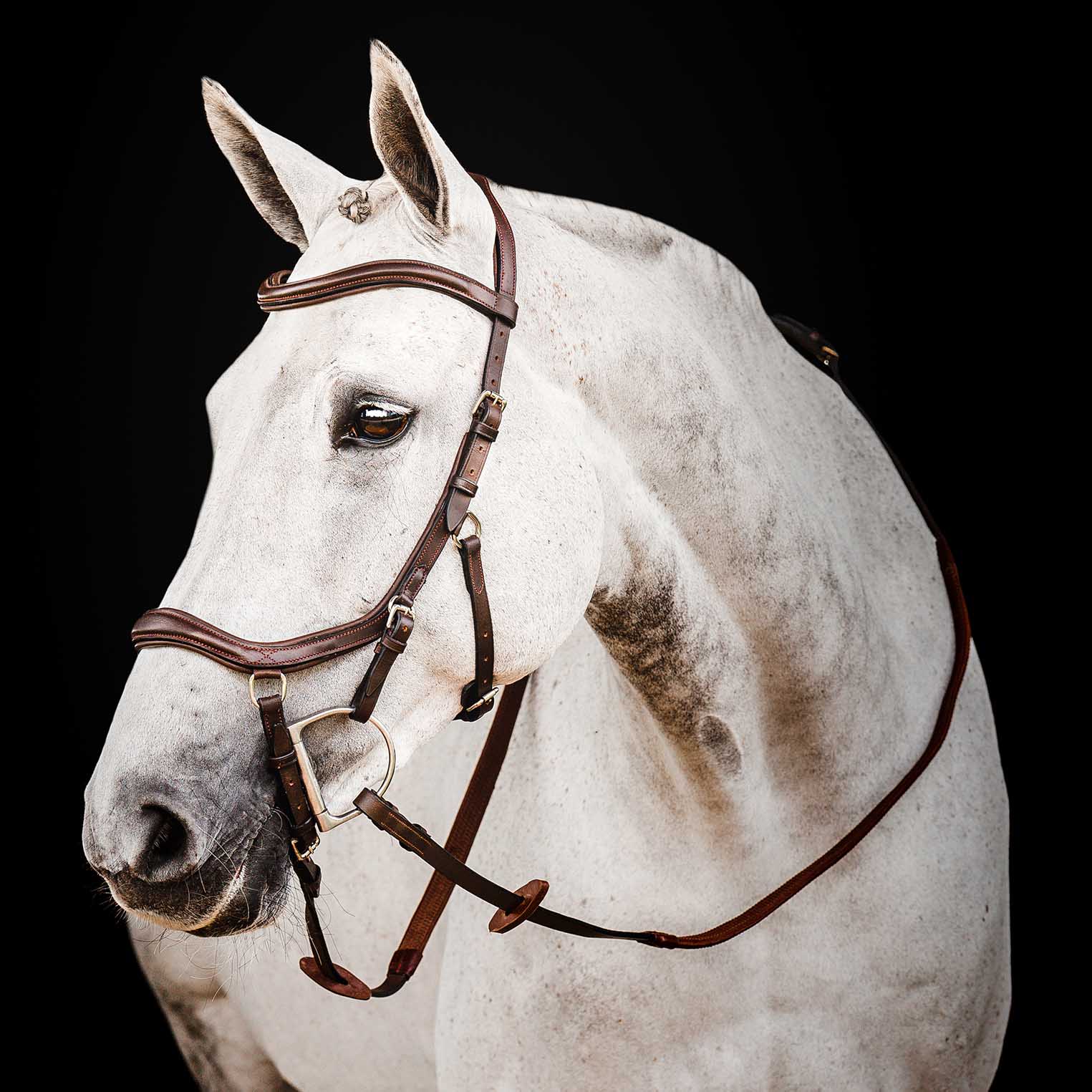 Micklem 2.0 Deluxe Competition Bridle, Havana - Buy Pet Shop